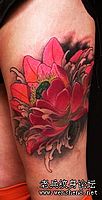 美女腿部彩色莲花纹身图案