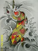 武汉tattoo纹身店为纹身爱好者提供一款彩色鲤鱼纹身手稿