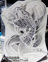 帅气的满背鲤鱼纹身手稿