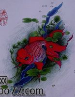 一款金鱼鲤鱼纹身手稿