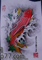 纹身手稿：彩色鲤鱼纹身手稿