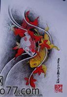 金鱼鲤鱼纹身手稿