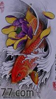鱼纹身手稿：彩色莲花鲤鱼纹身手稿