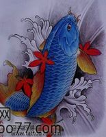 纹身手稿—鲤鱼纹身手稿