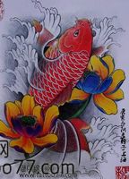 纹身手稿：莲花鲤鱼纹身手稿