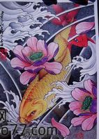 纹身手稿—莲花鲤鱼纹身手稿