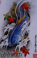 武汉文身店为你提供一款枫叶鲤鱼纹身手稿