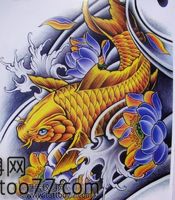 武汉刺青店为你提供一款金色鲤鱼纹身手稿