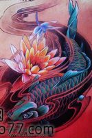 鲤鱼纹身手稿—彩色莲花蜻蜓鲤鱼纹身手稿