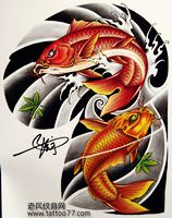 彩色半胛鲤鱼纹身手稿—武汉专业tattoo店为你提供