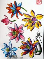 纹身手稿—彩色莲花纹身手稿