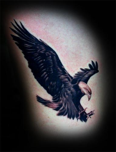 老鹰纹身图案图片