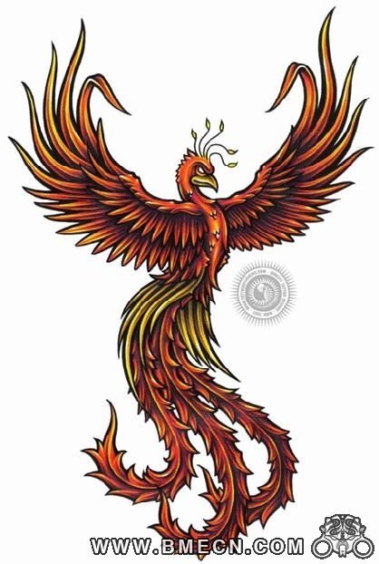 纹身图案大全：经典帅气超酷的凤凰纹身图案图片