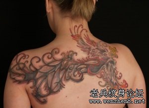 美女后背凤凰纹身图案大全