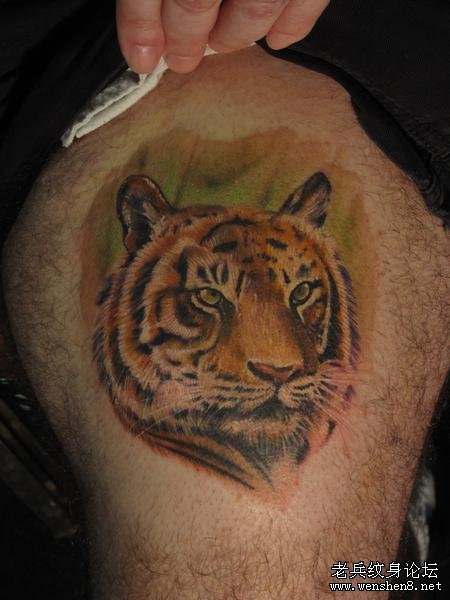 传统纹身图案：大腿老虎虎头纹身图案