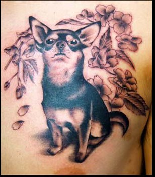 专业纹身店：胸部可爱的狗纹身图案图片