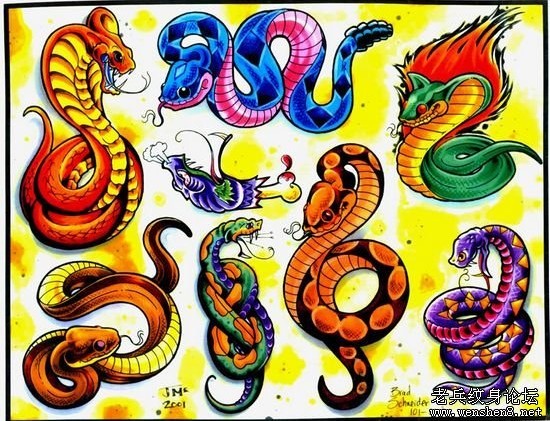 动物纹身图案大全：彩色蛇纹身图案纹身图片