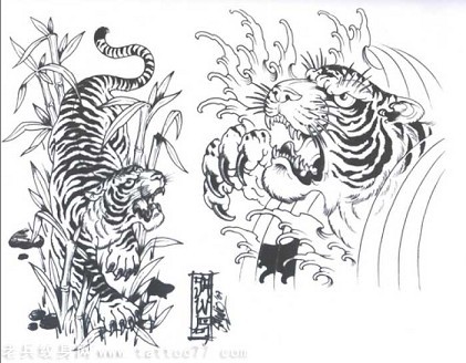 两组传统老虎纹身图案