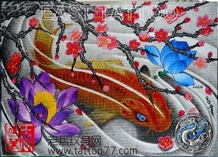 艳丽的彩色鲤鱼莲花纹身手稿