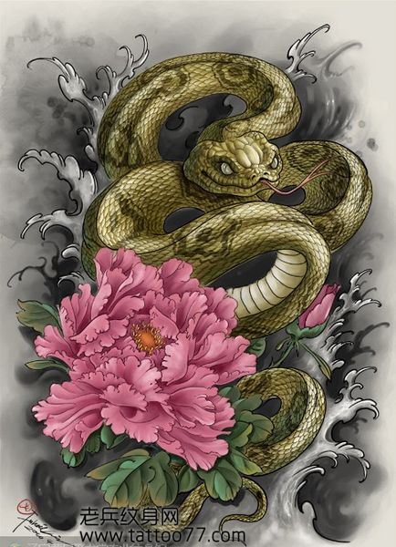 时尚经典的彩色蛇牡丹纹身手稿