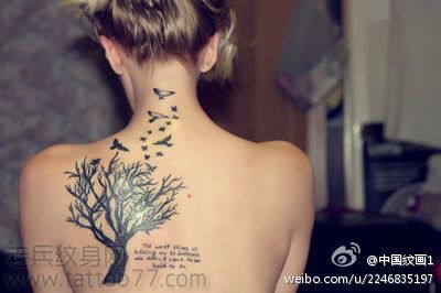 美女背部图腾树小鸟纹身图案