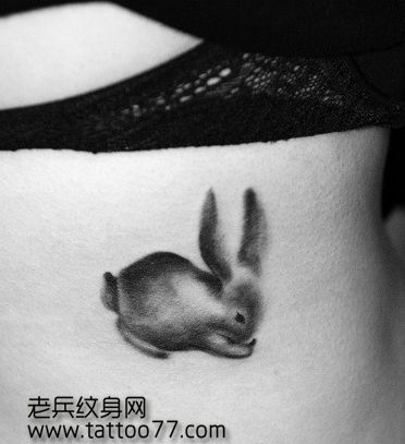 美女腰部可爱的小白兔纹身图案