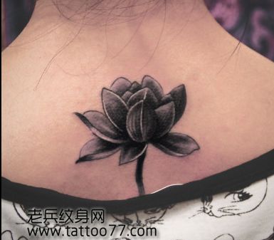 美女背部黑白莲花纹身图案