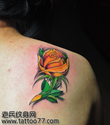 美女背部好看唯美的玫瑰花纹身图案