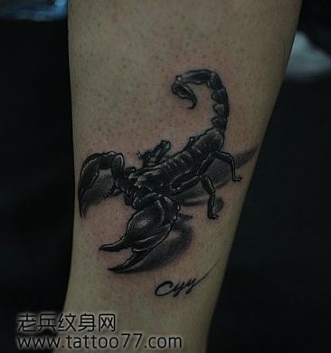 经典帅气的腿部蝎子纹身图案