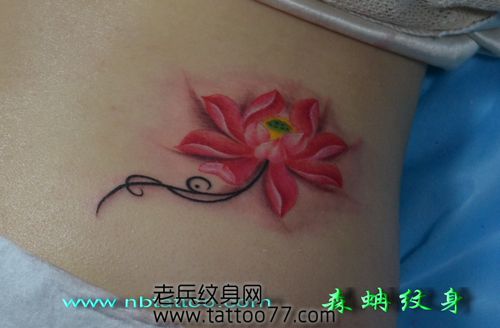 唯美的好看的莲花纹身图案
