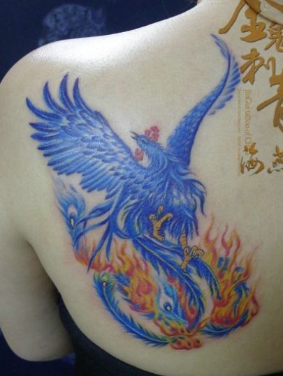 美女背部好看的火凤凰纹身图案