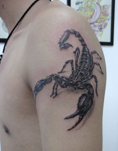 手臂帅气时尚的蝎子纹身图案