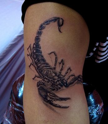 手臂经典帅气的蝎子纹身图案
