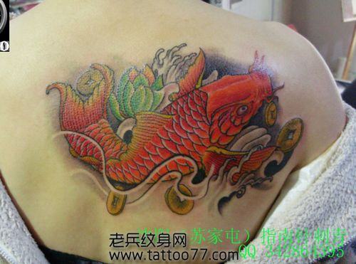 一款美女背部彩色鲤鱼纹身图案