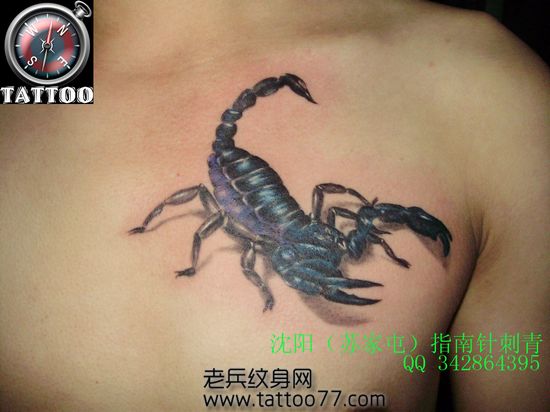 男生喜欢的胸部蝎子纹身图案