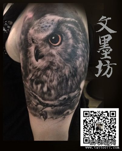 武汉专业纹身店为你推荐一款时尚个性的写实猫头鹰纹身图案