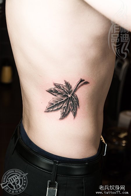 武汉专业纹身师打造的侧腰素描立体枫叶纹身作品及含义