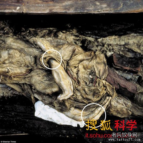 乌卡克公主手指上的纹身,这具尸骨于19年前从永久冻土中挖掘出来,现在阿尔泰共和国陈列展览