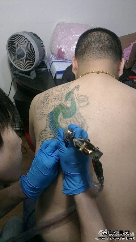 2012年9月20日喻迪后背彩色凤凰纹身图案现场