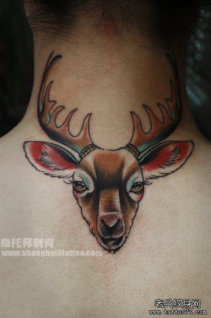 old school deer¹ƷͼƬ