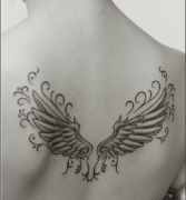 �米�������ͼ�����人��õĴ�����Ƽ�