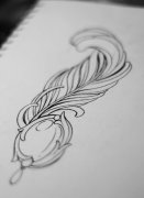 �人��õ��������Ƽ�һ����ë�ָ�ͼ��