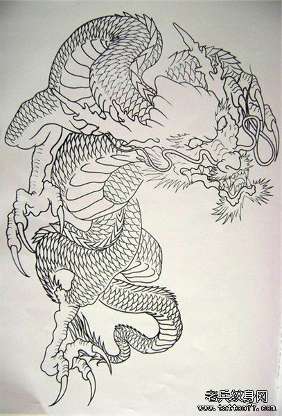 披肩龙手稿（14）