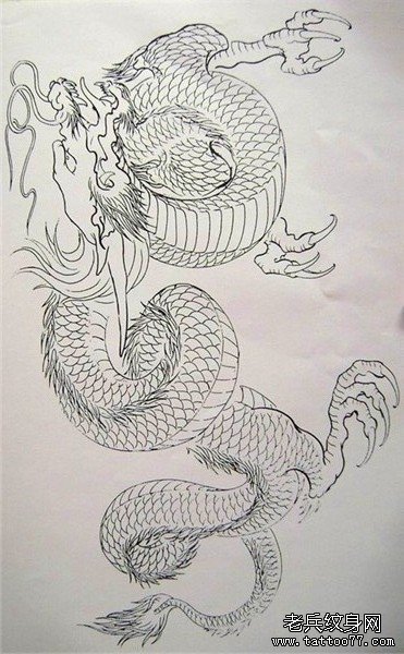 披肩龙手稿（18）