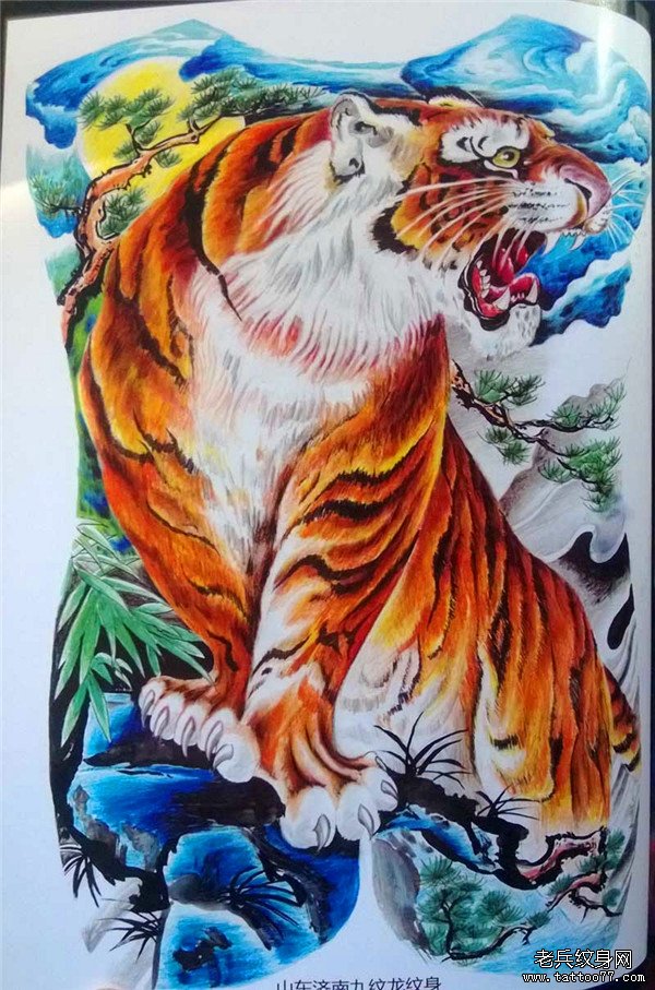 ͳָ壨133