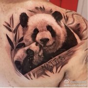 粿èͼ人Ƽ