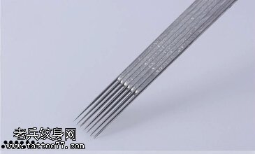 롪ֱųʮ